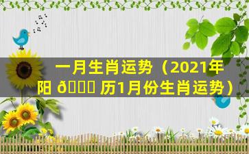 一月生肖运势（2021年阳 🐛 历1月份生肖运势）